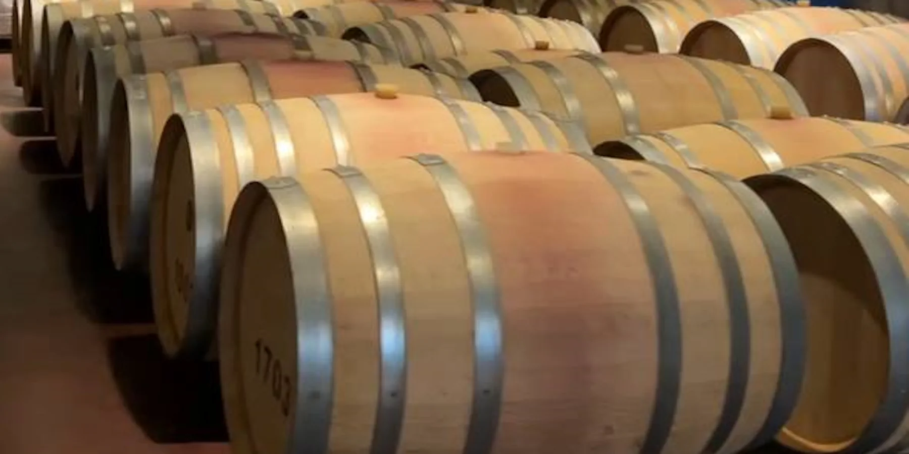 Вы сейчас просматриваете Винодельня «Etel Winery» на Северном Кипре: сочетание традиций и качества